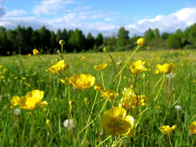 Wiosennie na Ukrainie oraz w Rosji; fot.http://1kontiki.files.wordpress.com/